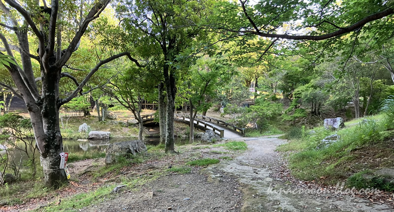 浜松城公園の大きな池