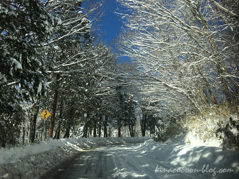茶臼山高原につながる県道506号線の積雪・路面状況