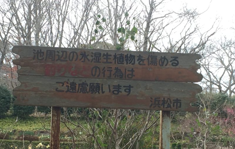 飯田公園の池にある注意書きの看板「周辺の水湿植物を傷める釣りなどの行為はご遠慮願います」
