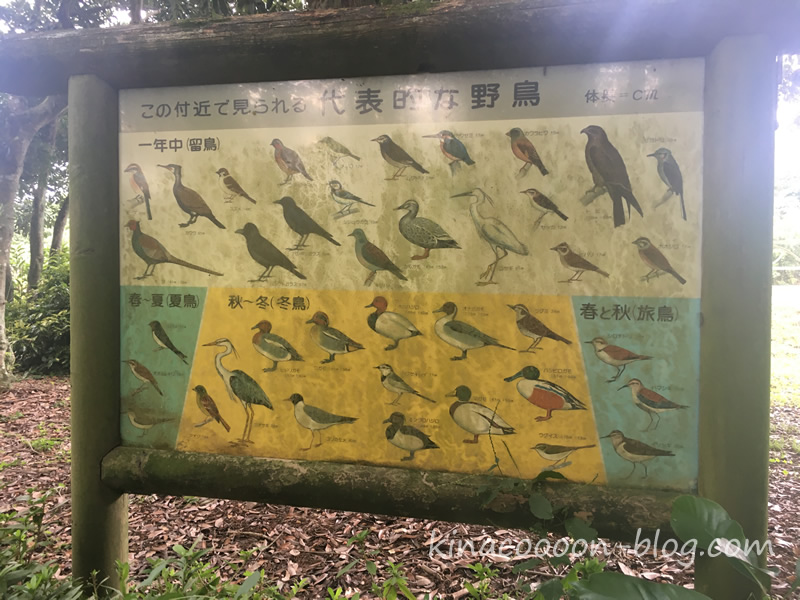 遠州灘海浜公園の野鳥の種類が載っている看板