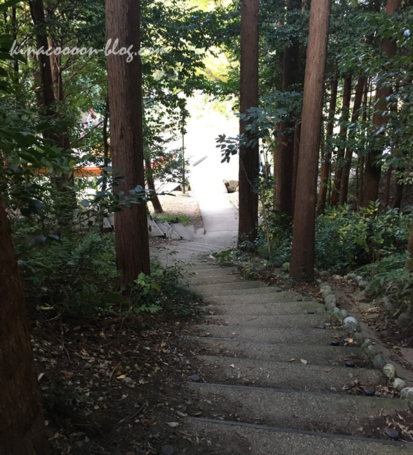 磐田市・うさぎ山公園のローラーすべり台を登る階段
