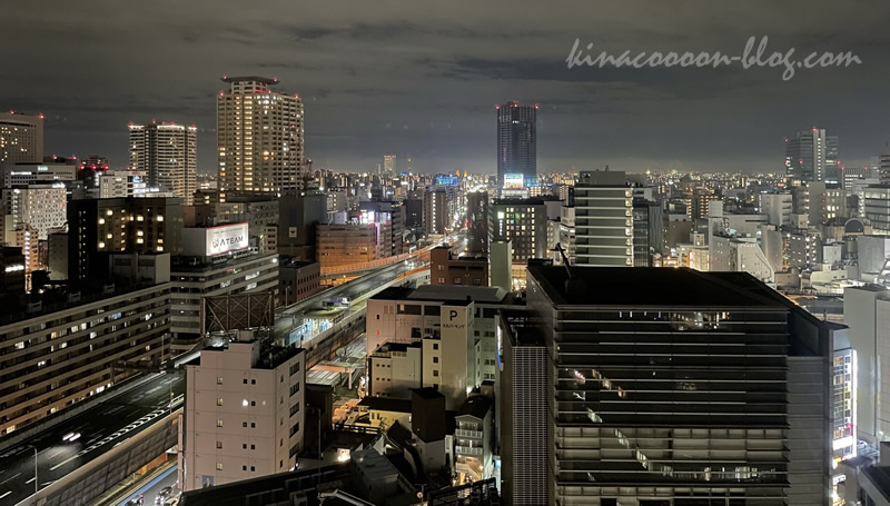 三交インGrande名古屋-HOTEL&SPA-のスタンダードルーム13階から見える夜景