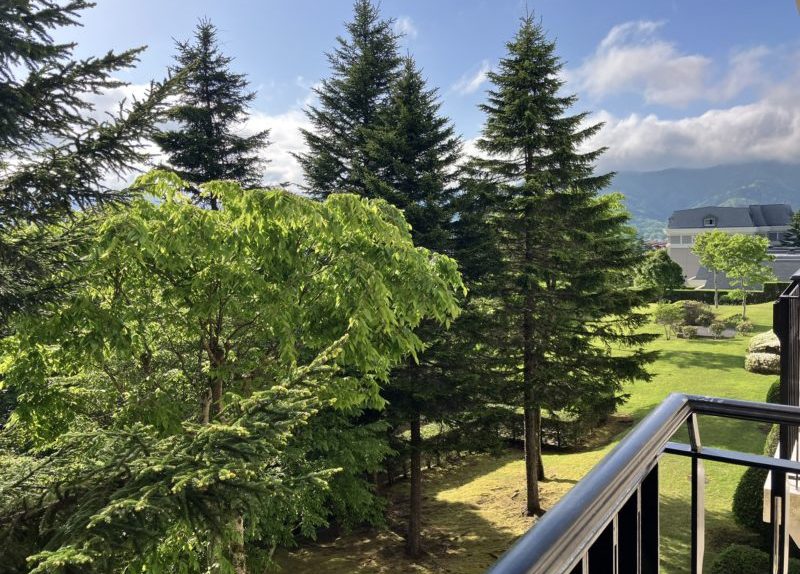 エクシブ山中湖のラージグレードCタイプ（３階）から見た景色