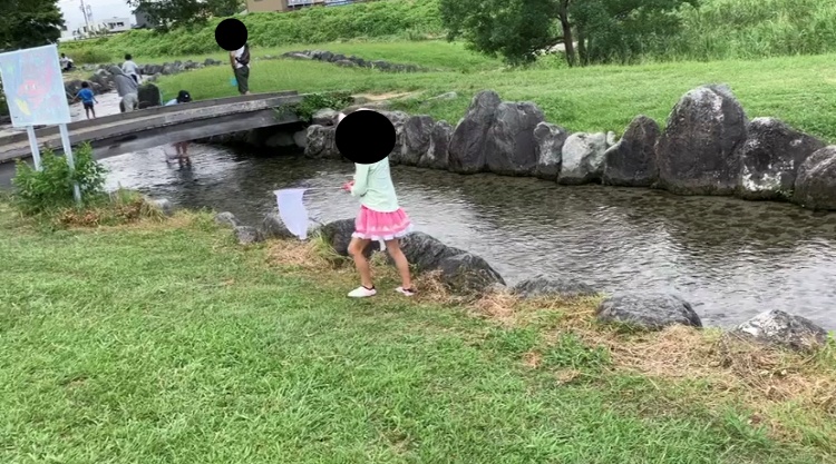 馬込川みずべの公園で川遊びをする幼児